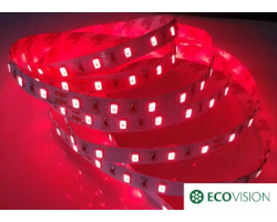 EcoVision LED traka 0.5m, 3528, 60LED/m, 4.8W/m, 36V DC, crvena
